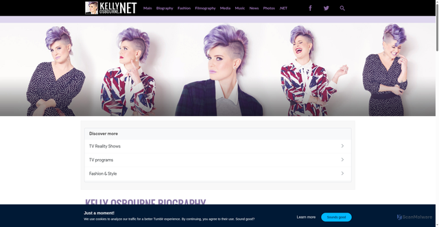 Security scan screenshot of https://kellyosbourne.net/bio