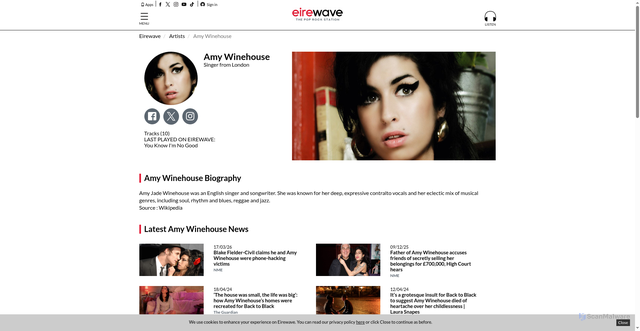 Security scan screenshot of https://eirewave.com/music/artists/amy-winehouse