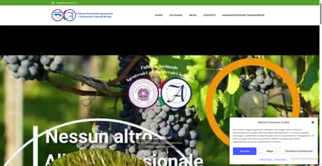 Security scan screenshot of https://www.agrotecnicirovigo.it/