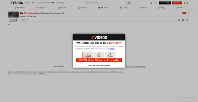 Security scan screenshot of https://www.xvideos.com/models/diosa-canales-1