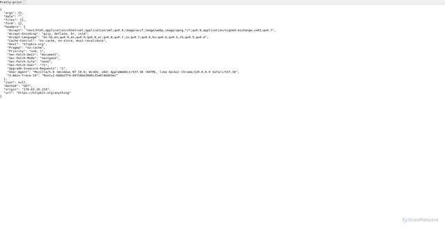 Security scan screenshot of https://httpbin.org/anything