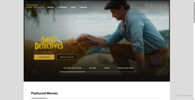 Security scan screenshot of https://amazonmgmstudios.com