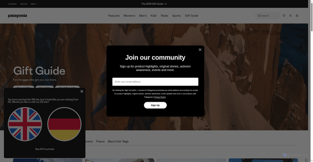 Security scan screenshot of https://patagonia.com/