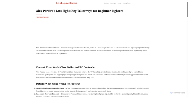 Security scan screenshot of https://vistalokalflow-dpmdyp2ylod7.edgeone.app/alex-pereira-last-fight.html