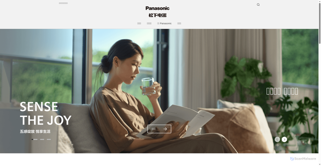Security scan screenshot of https://panasonic.cn