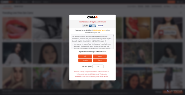 Security scan screenshot of https://track.cam4tracking.com