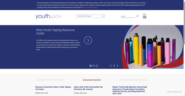 Security scan screenshot of https://youth.gov/