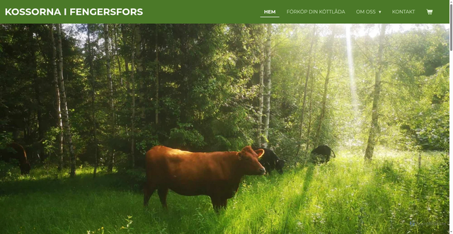 Security scan screenshot of https://kossornaifengersfors.se