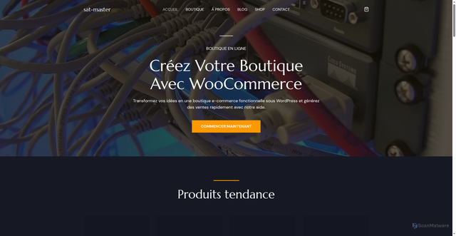 Security scan screenshot of https://sat-master.com/