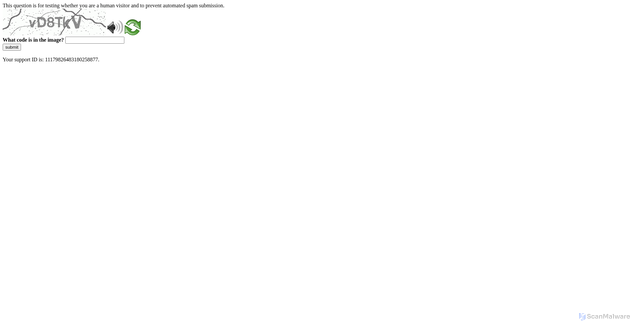 Security scan screenshot of https://www.honolulu.gov/