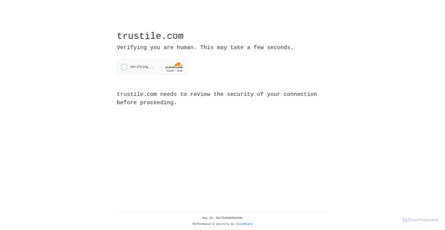 Security scan screenshot of https://trustile.com