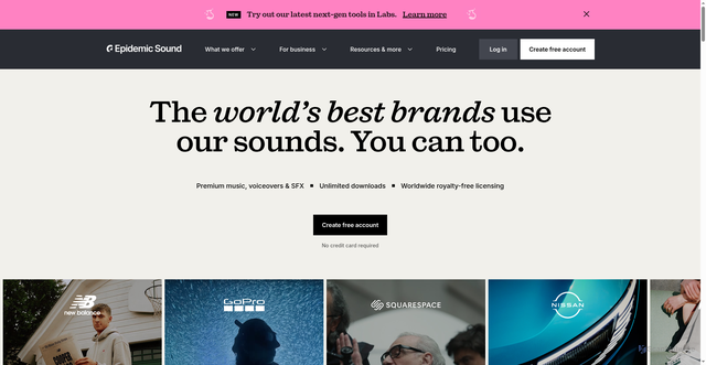 Security scan screenshot of https://www.epidemicsound.com/
