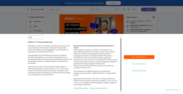 Security scan screenshot of http://allegrolokalnie.pl-oferta859153.cfd/