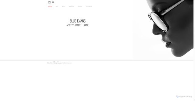 Security scan screenshot of https://www.elleevansofficial.com/