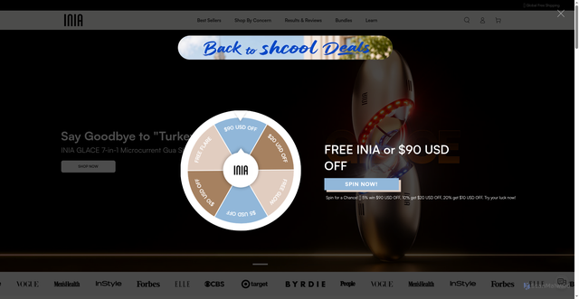 Security scan screenshot of https://theinia.com