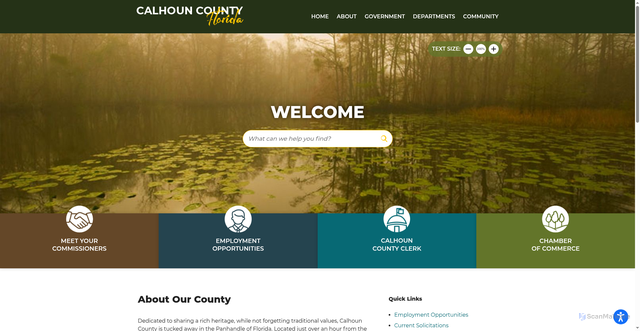 Security scan screenshot of https://www.calhouncountyfl.gov/