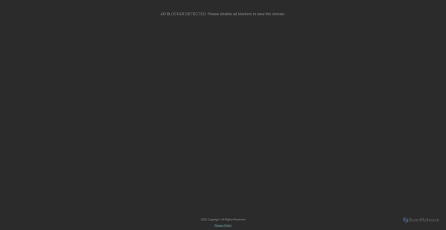 Security scan screenshot of https://www.thedetroitnews.com/