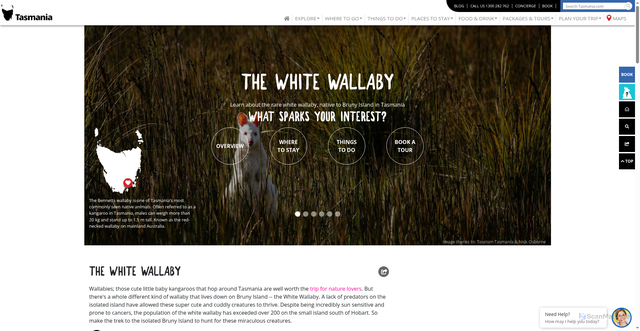 Security scan screenshot of https://tasmania.com/things-to-do/wildlife/the-white-wallaby/