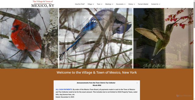 Security scan screenshot of https://villageofmexico.gov/