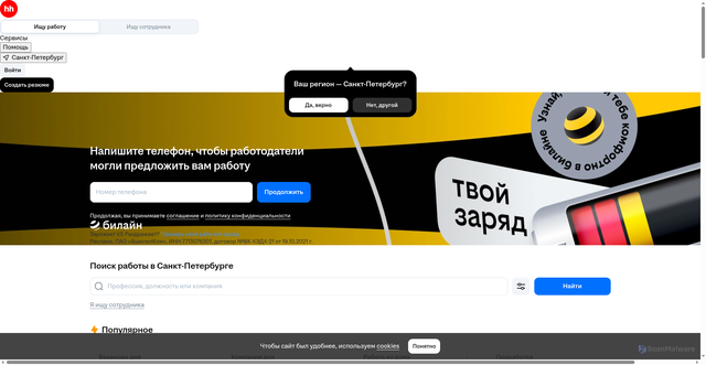 Security scan screenshot of https://spb.hh.ru