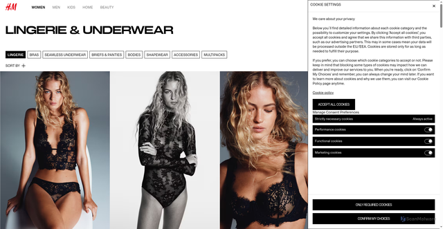 Security scan screenshot of https://www2.hm.com/en_us/women/products/lingerie.html