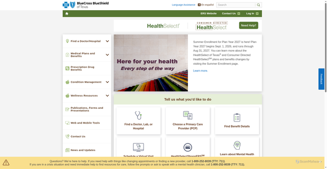 Security scan screenshot of https://healthselect.bcbstx.com