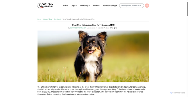 Security scan screenshot of https://www.petzooie.com/articles/what-were-chihuahuas-bred-for-history-and-faq