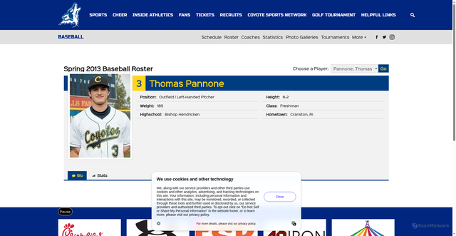 Security scan screenshot of 8113903.fls.doubleclick.net