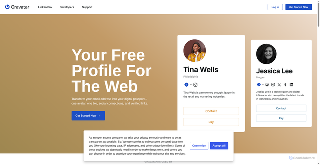 Security scan screenshot of https://avatar.iconfinder.com/