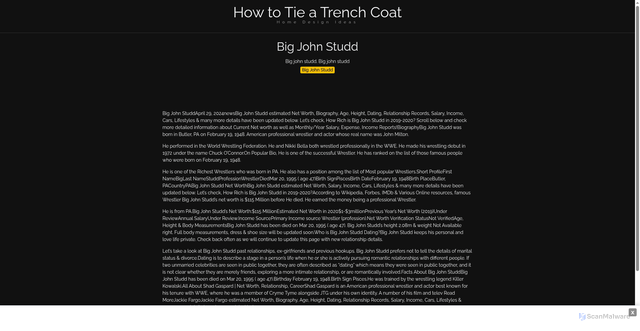 Security scan screenshot of https://weamaxthugo-kyh82vobvh.edgeone.app/19046-big-john-studd.html