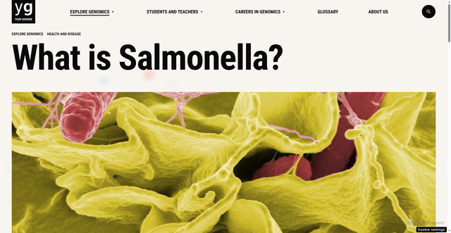 Security scan screenshot of https://www.yourgenome.org/theme/what-is-salmonella/