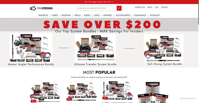 Security scan screenshot of https://fishstrong.com