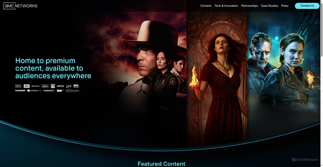Security scan screenshot of https://www.amcnconnect.com
