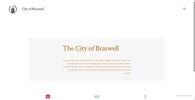 Security scan screenshot of https://braswellga.gov/