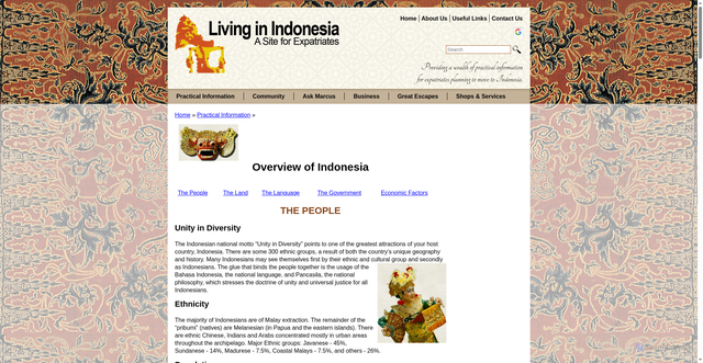 Security scan screenshot of https://www.expat.or.id/info/overview.html