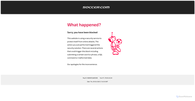 Security scan screenshot of https://www.soccer.com/guide/guide-to-argentina-national-team