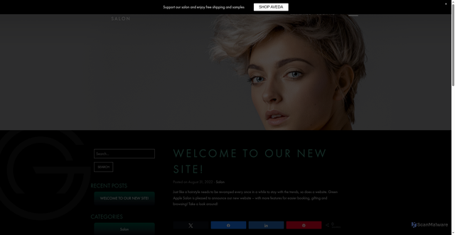Security scan screenshot of https://greenapplesalons.com/?p=1150