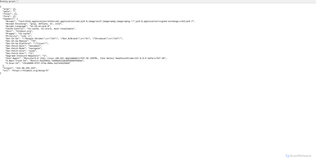 Security scan screenshot of https://httpbin.org/delay/5