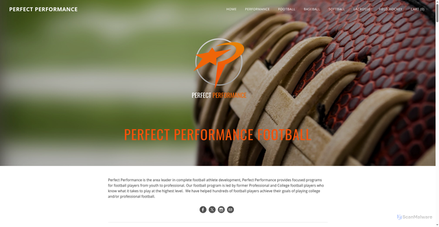Security scan screenshot of https://www.perfect-performancenova.com/pp-football-training-academy.html