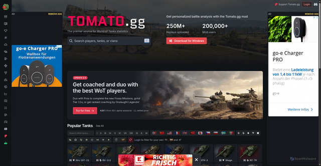 Security scan screenshot of https://tomato.gg