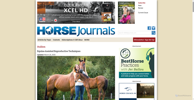 Security scan screenshot of https://www.horsejournals.com/breeding/stallion