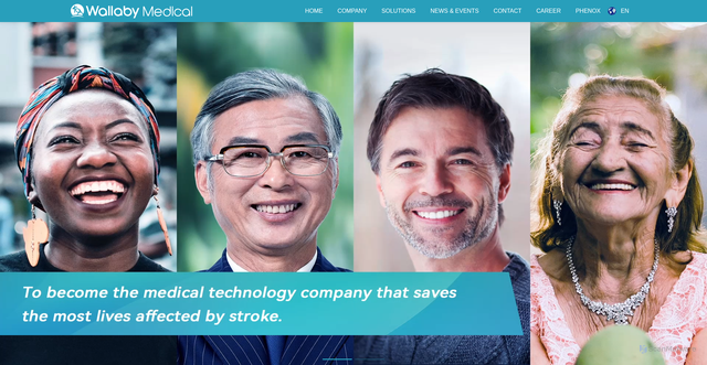 Security scan screenshot of https://www.wallabymedical.com/