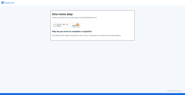 Security scan screenshot of https://bluehost.com
