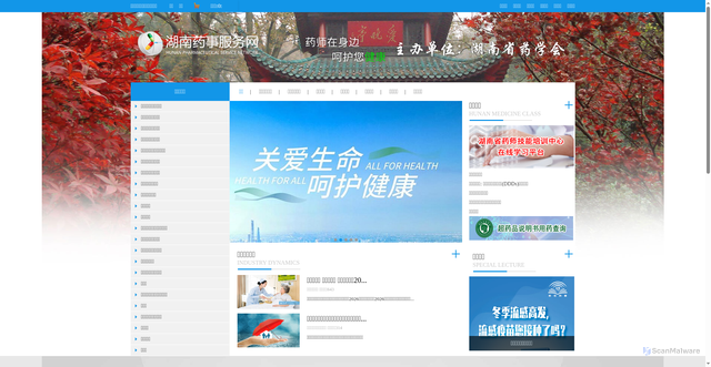 Security scan screenshot of https://hnysfww.com