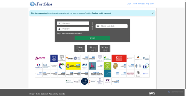 Security scan screenshot of https://nhseportfolios.org