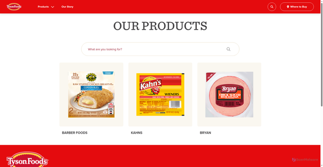 Security scan screenshot of https://www.tysonfoodsselectbrands.com/products