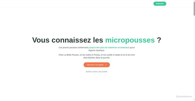 Security scan screenshot of https://labellepousse.com/