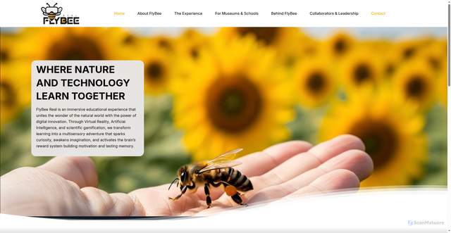 Security scan screenshot of https://flybee.co