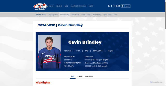 Security scan screenshot of https://teamusa.usahockey.com/2024wjc-gavinbrindley