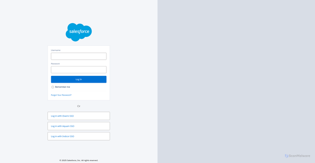Security scan screenshot of https://hris-s21.lightning.force.com